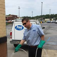 Locally owned and operated, greenville pest control provides effective pest management for homes and businesses all throughout greenville, south carolina. Best Local Pest Control Company Greenville Spartanburg Pest Management Solutions