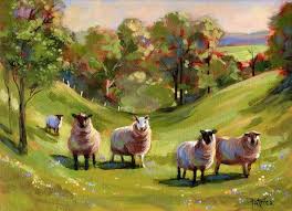 Pin On Sheep