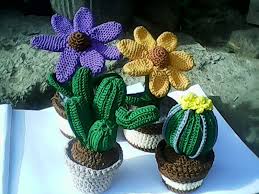 Perbanyakan kaktus melalui biji (generatif) cukup. Pin Di Crochet Cactus Pattern