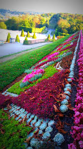 Check spelling or type a new query. Pin On Blumen Und Gartenkunst