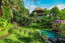 Different styles to choose from. Balian Treehouse W Beautiful Pool Huts For Rent In Balian Beach Bali Indonesia