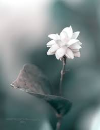Pin On Photography Art