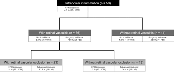 Many thanks for your understanding. Risk Of Inflammation Retinal Vasculitis And Retinal Occlusion Related Events With Brolucizumab Ophthalmology