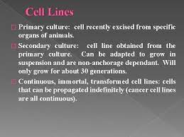 Maybe you would like to learn more about one of these? Introduction To Animal Cell Culture Introduction Cell Culture