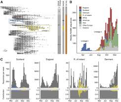 The word was first used in print in 1968 by an informal group of virologists in the journal nature to designate the new. Circulating Sars Cov 2 Spike N439k Variants Maintain Fitness While Evading Antibody Mediated Immunity Sciencedirect