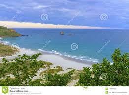 View of the Sandfly Beach Near Dunedin Stock Image - Image of line,  zealand: 118380821