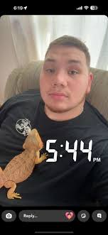 bearded dragon calm nature