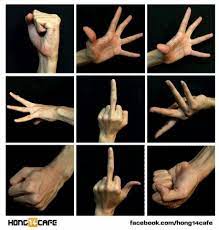 Hands Poses Reference Hand Drawing Reference Hand Reference Figure Drawing Reference