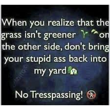 The Grass Is Always Greener On The Other Side Meme Pin On Love Advice