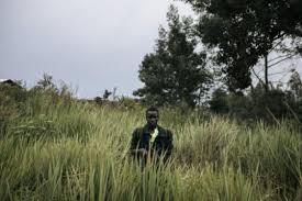 Se fai click su accetta i cookies acconsenti. Conflict In Ituri Province Of Democratic Republic Of Congo L Osservatorio Research Centre On Civilian Victims Of Conflicts