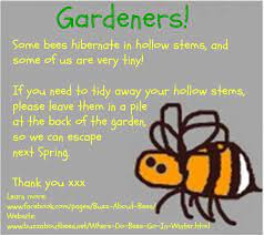 Sometimes people see bees struggling in water, unable to reach anything bumble bees are also capable of generating their own heat (which they do by decoupling their i also think that saving a bee's life creates a special connection that will never bee forgotten. Save The Bees 10 Simple Steps You Can Take