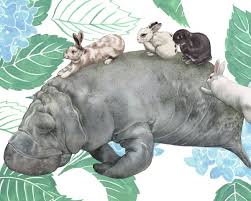 Vegans Manatees N Bunnies Archival Print Zhivotnye Idei Ryba