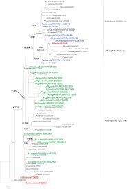 290 likes · 1 talking about this. Plos One Molecular Epidemiology Of Influenza A H3n2 Viruses Circulating In Uganda