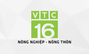Tuy nhiên lại có nhược điểm là quảng cáo nhiều và nó liên quan tới kèo bóng đá nên cũng hơi ảnh hưởng người dùng. Vtv3 Trá»±c Tiáº¿p Vtv3 Online Nhanh Nháº¥t Xem Vtv3 Hd Khong Giáº­t