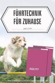 Umschließe eine belohnung mit der hand und halte sie dem hund hin. Agility Fuhrtechnik Fur Zuhause Hundesport Hundetraining Trainingstagebuch Hunde Dogs Welpen Erziehen Hundesport Agility Hund