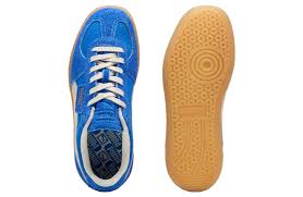 Image result for Amparo Blue 2001 Puma