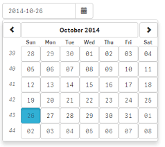 Qwidget Datepicker Component