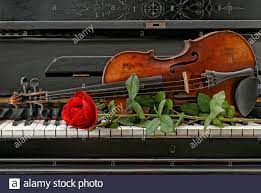 Violin Music Instrument Rose Immagini e Fotos Stock - Alamy