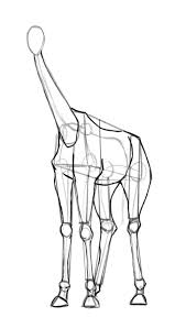 La girafe est un drôle animal,avec son long cou, elle peut voir au si vous posez la question: Realiser Un Dessin De Girafe Dessindigo