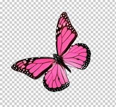Monarch butterfly at rest outline clip art at clker.com. Monarch Butterfly Color Greta Oto Png Clipart Blue Brush Footed Butterfly Butterflies And Moths Butterfly Clip