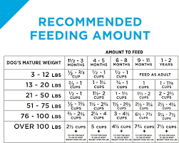 Large breeds should be fed unmoistened dry food by 9 or 10 weeks; Purina Pro Plan Puppy Lamb Rice Formula Dry Dog Food 6 Lb Bag Chewy Com Pro Plan Dog Food Puppy Food Purina Pro Plan Puppy
