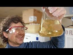 Huskies: In their Own Words