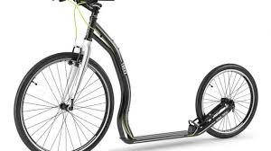 Don't stay inside on a beautiful day! Yedoo Trexx In Vielen Testberichten Zum Testsieger Gekurt