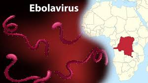 It was discovered and sequenced by a predict research team from the u.s. Mengenal Virus Ebola Yang Kini Mewabah Kembali Di Afrika Begini Sejarah Panjang Cara Penularannya Tribunnewsmaker Com