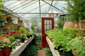 Controlled conditions of inside greenhouses enhances the quality of the harvest. Perennial Garden A Fresh Look