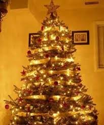 Gambar musim dingin putih bintang kaca makanan merah keramik via pxhere.com. Paling Bagus 24 Gambar Pohon Natal Paling Keren Gambar Dp Bbm Pohon Natal Dan Santa Claus Keren Dan Unik From Pohon Natal Dekorasi Pohon Natal Ide Dekorasi
