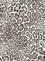 Black And White Leopard Print Leopard Skin Leopard Print Background Leopard Print Background Wallpaper Cheetah Print Wallpaper