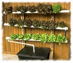 Wall Mounted Nft System Hydroponic Gardening Hydroponics Aquaponics