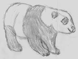 All you need to draw is an outline of the cat and with the help of a pencil shade its body fur. Simple Cool Drawings Of Animals Novocom Top