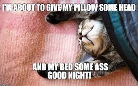 Good Night Memes Good Night Funny Funny Memes For Him Funny Good Night Quotes