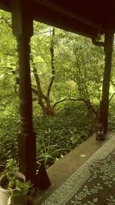Angeladdi tiktok ~ video tik tok tante. Love Love Wethinkwedream It S Been Raining Non Stop And