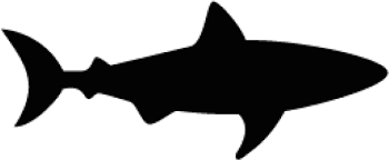 Free Free 100 Shark Clipart Svg SVG PNG EPS DXF File
