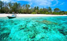 Berikut ini beberapa koleksi gambar pemandangan alam di indonesia, langsung lihat dibawah yuk gambarnya. 10 Foto Pemandangan Alam Yang Jadi Bukti Keindahan Alam Indonesia