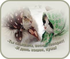 В первый весенний денечек желаю всем тепла и воодушевления. 1 Marta Pervyj Den Vesny Vstrechaem Den Vseh Koshek Otmechaem Vsem Uchitelyam