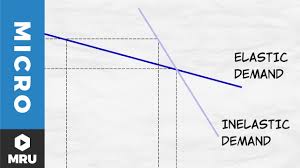 Elasticity is particularly dependent on consumer behavior. Elasticity Of Demand Youtube