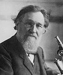 Evolución de las ideas en medicina