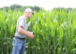 Area farmers concerned with lack of rain so far this summer