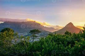 On croise aussi sur place un rongeur qui est un des plus proches parents de l'éléphant, le daman. Tete De Lion Et Montagne De La Table Coucher De Soleil Cape Town Banque De Photos