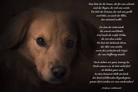Pin Von Alexandra Blacker Auf Tiere Hund Zitat Regenbogenbrucken Hund Trauerspruch Hund