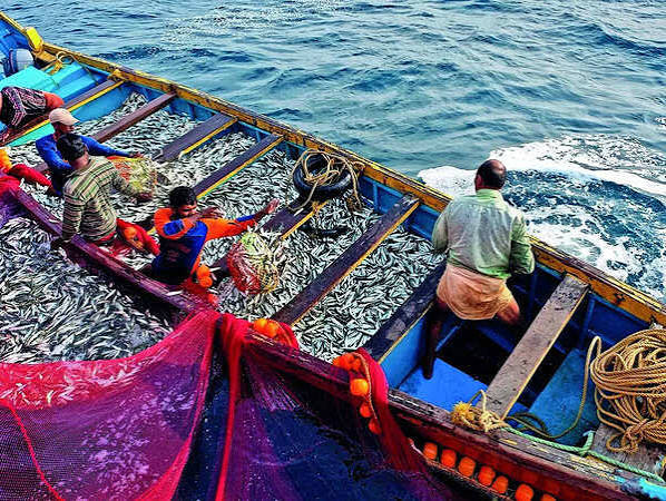 India urges Russia to approve 32 seafood processing units for supplies - The Economic Times