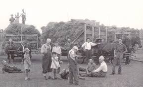 1942 Haying in Arcadia Township