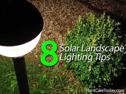 We did not find results for: How Solar Powered Landscape Lighting Can Add Beauty To The Garden