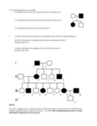 Genetics pedigree worksheets also work in helping parents to select specific features of a child. Pedigreepracticeworksheet Doc Pedigree Practice Worksheet Name Hour Date Part I 1 Do A Punnett Square For The Cross Shown Below Between A Male And Course Hero