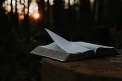 Image result for synopsis of the bible