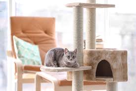 They may be not as sturdy or long lasting as some of the best quality cat trees like molly and friends but a great value for the price. Cat Trees For Large Cats Best Big Sturdy Cat Towers 2021