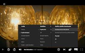 Chrome extension for loading subtitles from netflix web series. Netflix Subtitle Loader